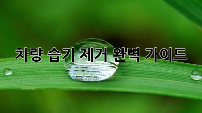차량 습기 제거 완벽 가이드