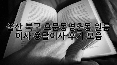 울산 북구 효문동/명촌동 원룸 이사? 용달이사 후기 모음!